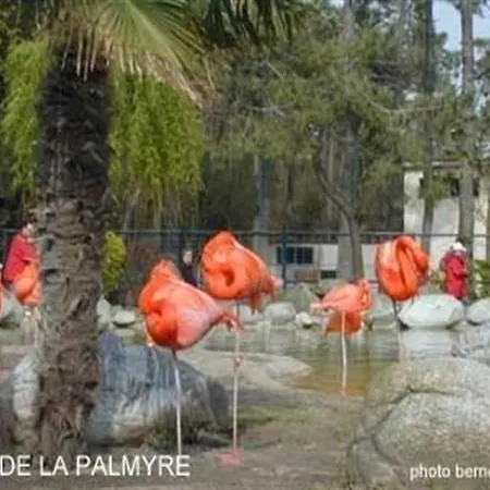 Le Domaine De Bonne Anse Avec Wifi Les Mathes